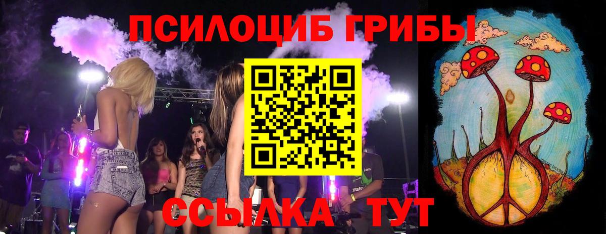 цены наркотик  Вход с VPN  Светлоград  Псилоцибиновые грибы прущие грибы 